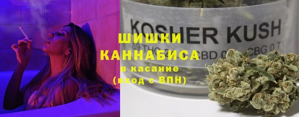 индика Алексеевка