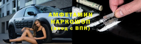 индика Алексеевка