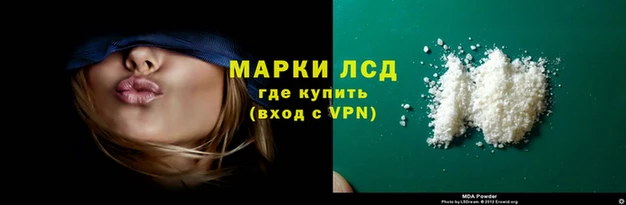 стаф Алексин