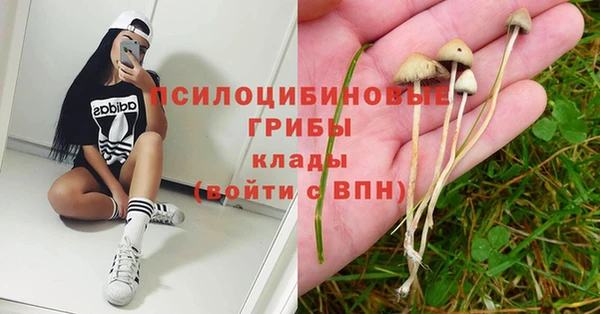 стаф Алексин