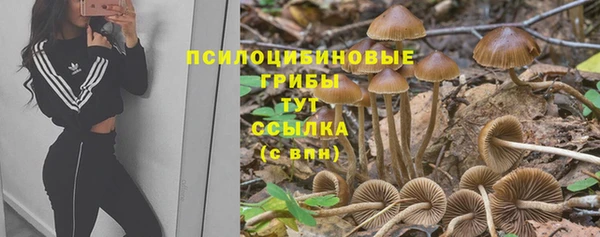 стаф Алексин