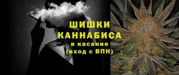 МДПВ Алзамай