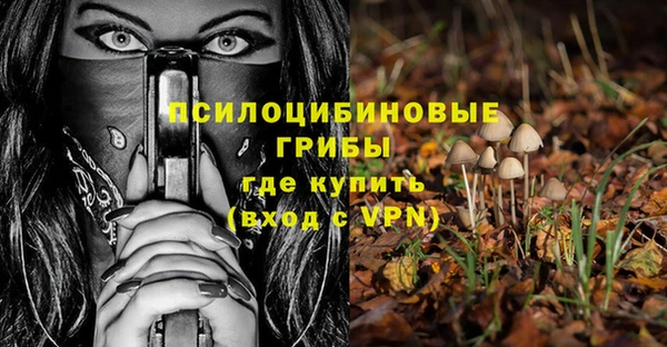 МДПВ Алзамай