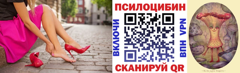 Псилоцибиновые грибы Psilocybine cubensis  Евпатория 